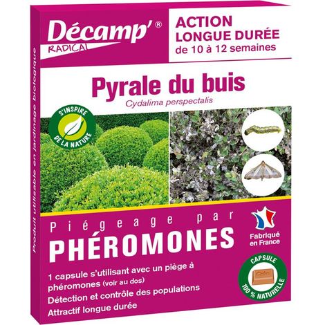 PHEROMONE PYRALE DU BUIS