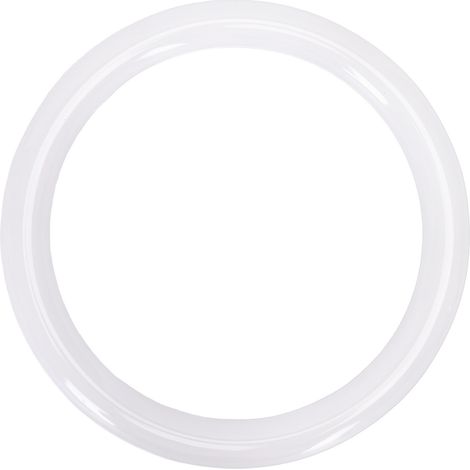 Circolina Led G10Q T9 30cm da 17W in plastica Bianco freddo 6500K Aigostar (1/5)