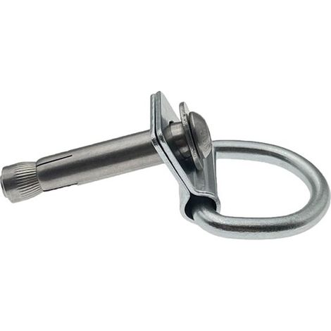 Anello a D - Anello per corda Anello per dormire Gancio da pavimento Gancio Anello di fissaggio gancio - accessori per rimorchio ad anello fisso per carico (1/2)