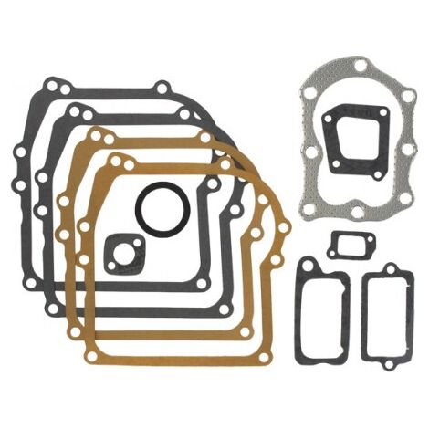 Guarnizioni motore BRIGGS et STRATTON 29898
