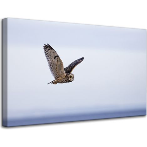 Leinwanddruck Tiere Eule im Flug 80x50 cm