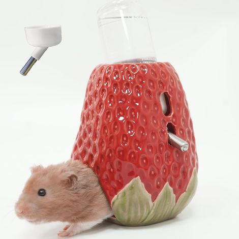 JeiibrZui Série Fraise - Bouteille d'eau pour rongeurs avec support - 80 ml - 2 bouchons anti-goutte - Rouge (1/5)