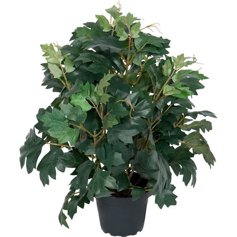 Cissus artificiel en pot, H 35 cm, D 23 cm (1/3)