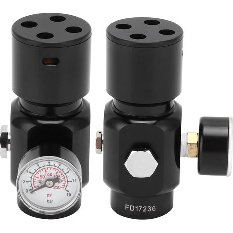 Mini régulateur de dioxyde de carbone en acier inoxydable, régulateur portable pour fût de bière à domicile