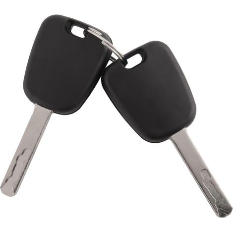 Barillet de serrure de porte avant gauche avec 2 clés pour Peugeot 407, Citroën C4 (2004-2011) et Picasso (2006-2008) (1/5)