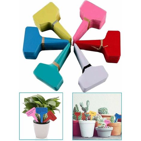 Plant Markers & Labels Etiquettes de Fromage Pancarte Jardin Etiquette Potager étiquettes de Semis Petit Outil Accessoires de Jardinage Mini étiquetage Signes de Plantation 6 CM x 10 CM (120pcs 6 col (1/5)