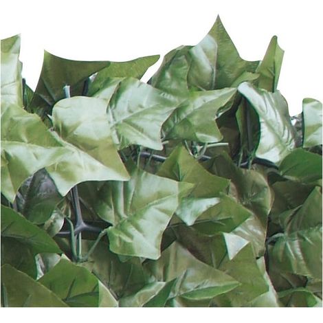 Sempreverde Edera Sichtschutz 1,5x3 m