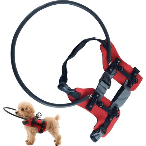 Anneau pour Chien Aveugle Collier de Navigation pour Chien Malvoyant avec Anneau Anti-Collision pour Animal Pour Utilisation Intérieure, Extérieure, (1/5)