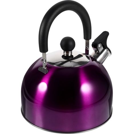 Bouilloire sifflante en acier inoxydable avec poignée ergonomique pour la cuisinière (1/5)