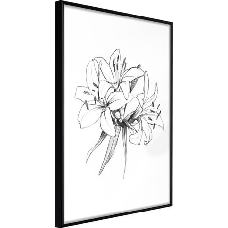 Affiche Murale Encadrée "Sketch of Lillies" 21 x 30 cm Noir