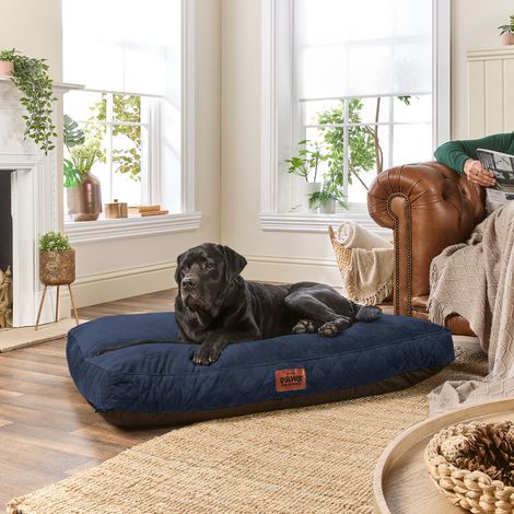 Paws for Slumber Padded Pet Bed, Blue, Extra Large
