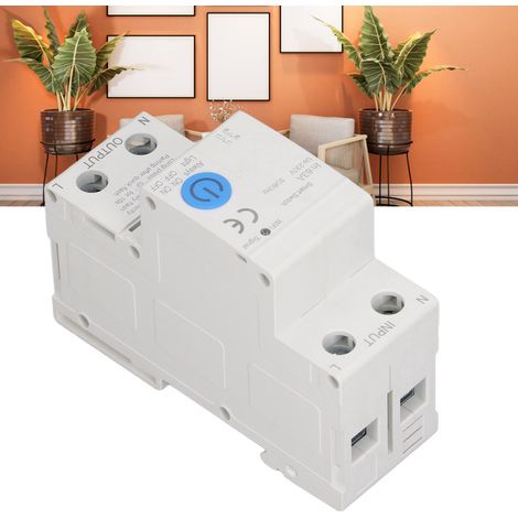 Disjoncteur intelligent ZigBee AC230V 2P/63A (Télécommande via téléphone mobile pour une utilisation dans une maison connectée) (1/5)