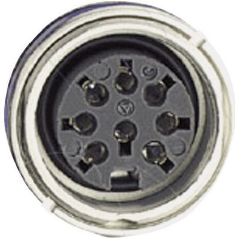 Amphenol C091 31N003 100 2 Cosse cylindrique mâle embase femelle Nombre total de pôles: 3 Série (connecteur rond): C091 (1/4)