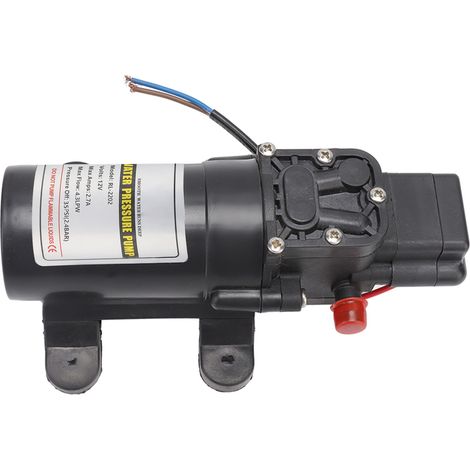 Pompe à membrane auto-amorçante haute pression pour extérieur RL 2202 12V (1/5)