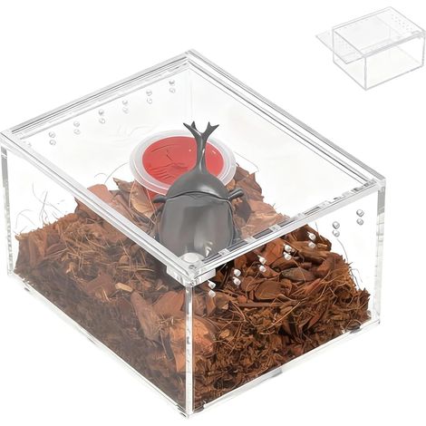 Enclos pour grenouille – Terrarium à escargots de 8,4 x 6,9 cm, boîte transparente pour élevage, cage d'élevage en acrylique pour lézard, grenouille, gecko, escargot, tortue d'observation (1/5)
