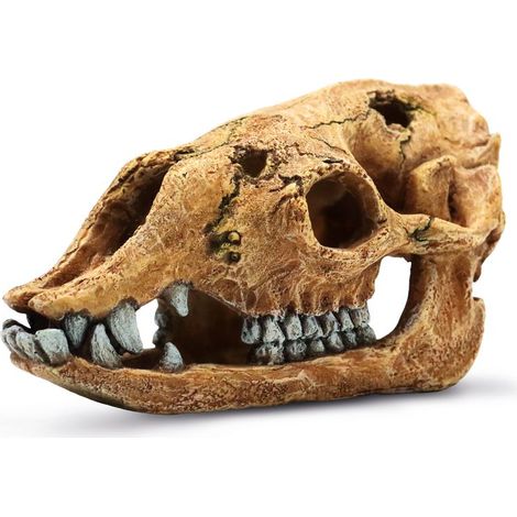 Amtra Deko Sahara Teschio decorazione per acquario
