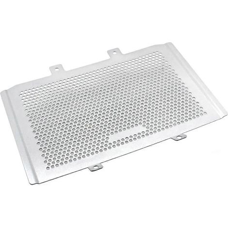 Frontschutzschild für Motorrad 450MT Silber