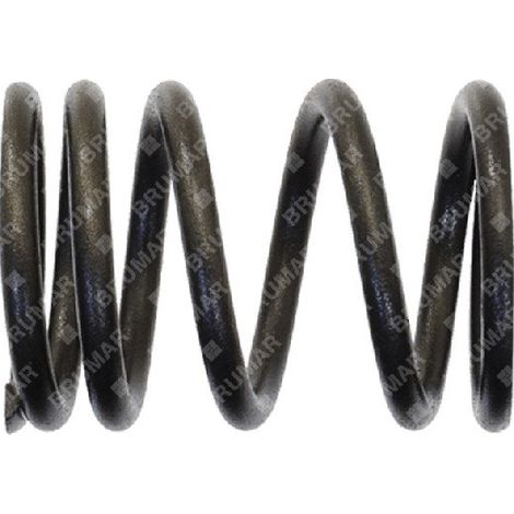 Resorte de válvula para motogeneradores DUCAR - 056623