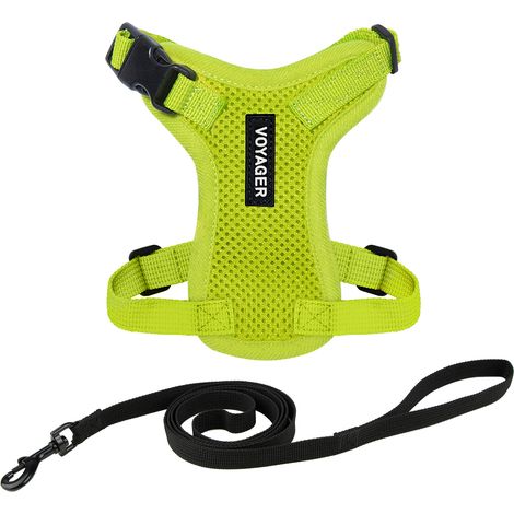 Voyager Step-in Lock Katzengeschirr und reflektierende Katzenleine mit Neoprengriff by Best Pet Supplies - Unterstützt kleine, mittelgroße und große Katzenrassen, Limettengrün, size XXS - 1,5 m