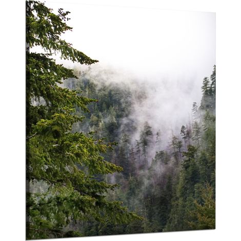 Leinwanddruck Natur Berge Nebelwald 80x100