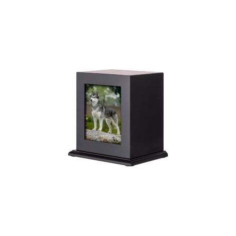 Urne funéraire pour animaux de compagnie en bois de rose – Dimensions 5,3'x4,1'x6,7' – Ouverture sécurisée par vis – Supporte jusqu'à 150 livres (1/5)