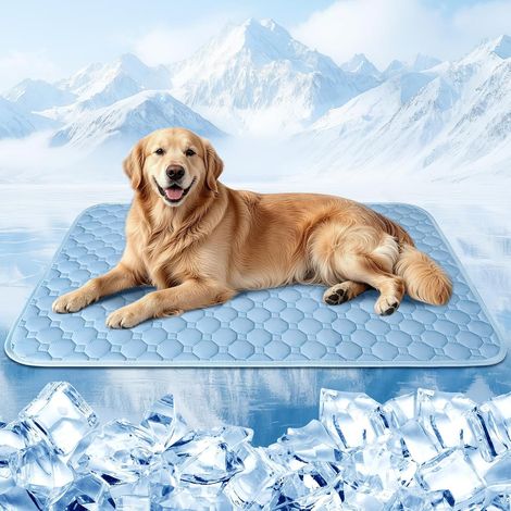 Tappetino Rinfrescante per Cani Lavabile Superficie Fresca 100×70 cm Superficie fresca per l'estate (1/5)