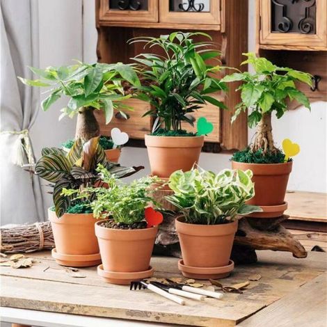 Pots De Fleurs - Terre Cuite - 3,5 X 3 Cm - Trou De Drainage - Lot De 12 (1/4)