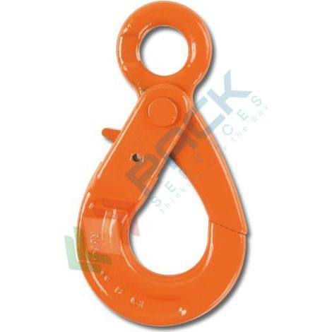 Robur 8057R Gancio ad occhio Self-Locking in acciaio alta resistenza grado 8 - 3150 kg (1/2)