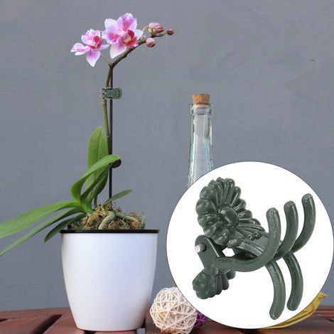 Dicke, blütenförmige Pflanzenklammer zur Befestigung von Stängeln von Gartenblumen und -pflanzen (200 Stück) (1/5)