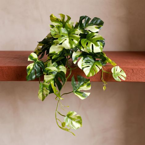 25cm Artificial Trailing Variegated Monstera Vine Plant (1/5)