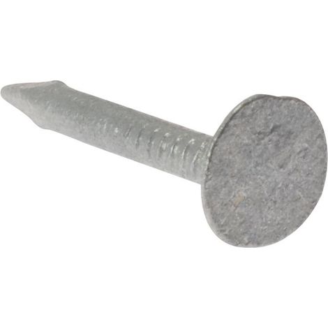 Clout Nail Extra Large Head Galvanised 30Mm (2.5Kg Bag) (1/3)
