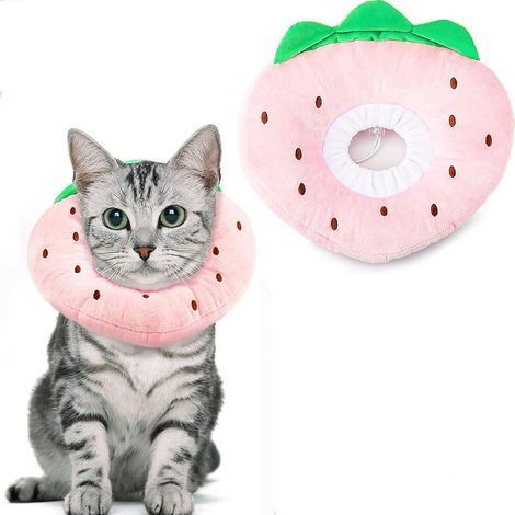 Collerettes pour Chats Chiens Collier de Protection Confort Ajustable Collerette de Postopératoire Récupération Anti-Morsure Protection (Fraises, M) (1/5)