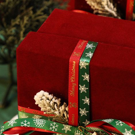 Coffret cadeau de Nouvel An en velours rouge, décoration de pomme pour la veille de Noël (1/5)