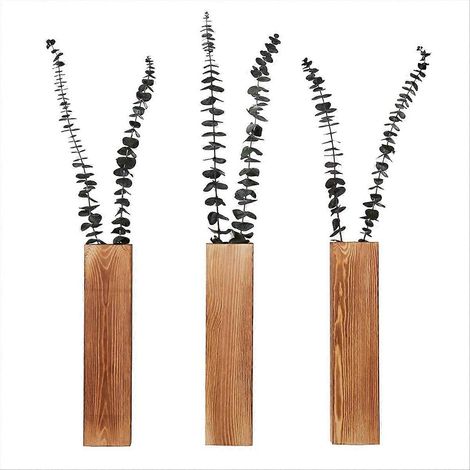 Lot de 3 supports muraux pour plantes d'intérieur, décoration murale en bois (1/5)