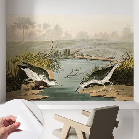Papier peint adhésif décoratif pour salon chambre et cuisine Facile à poser avec colle Paysage paisible 104x70 cm (1/5)