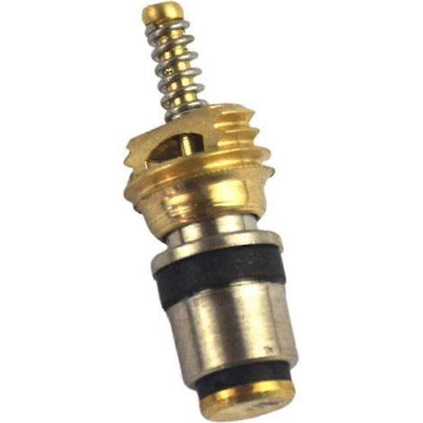 Lot de 10 noyaux de valve de climatisation pour système de climatisation Citroën46180 Boris