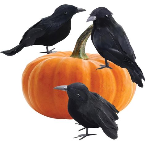 Corbeaux Noirs d'halloween, Corbeaux d'halloween 3X Faux Oiseaux Accessoires de Maison hantée, décoration d'halloween, Ornement de Corbeau de Bureau pour intérieur et extérieur (1/5)