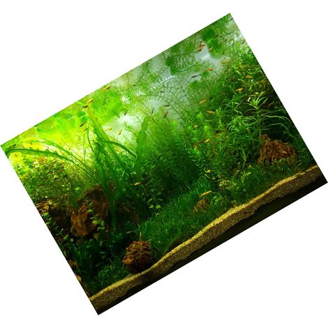 Affiche décorative adhésive en PVC, motif herbe aquatique, pour aquarium (122 x 50 cm) (1/5)
