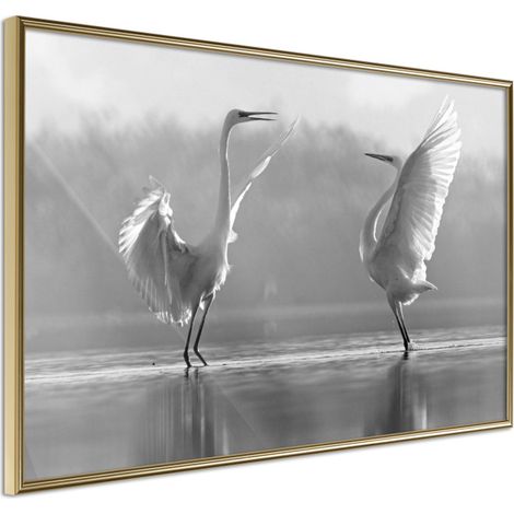 Affiche Murale Encadrée "Black and White Herons" 45 x 30 cm Or