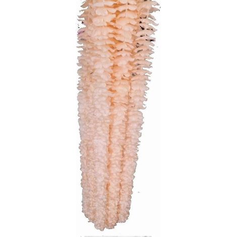 Fleurs de magnolia artificielles de 100 cm de long, décoration florale coloréeor (1/5)