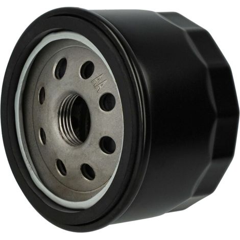 Filtre à huile compatible avec Briggs & Stratton Vanguard Motoren à gazon, sur roue (1/3)