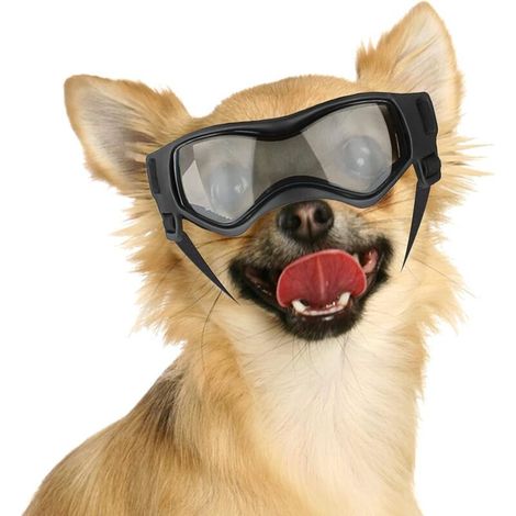 Lunette de Protection des Yeux pour Chien Chien Lunette de Soleil Facile à Mettre Stylée Lunettes pour Petits/Moyens Chiens (1/5)