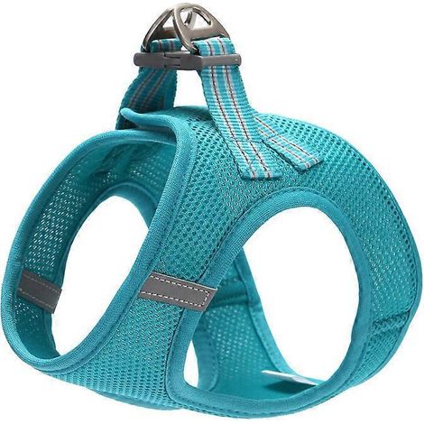 Harnais pour chat, harnais ajustable, gilet réfléchissant et respirant, laisse-harnais vert pour chat