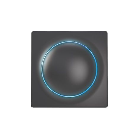 Variateurs Fibaro FGWDEU-111-8 Variateur intelligent externe Noir (1/5)