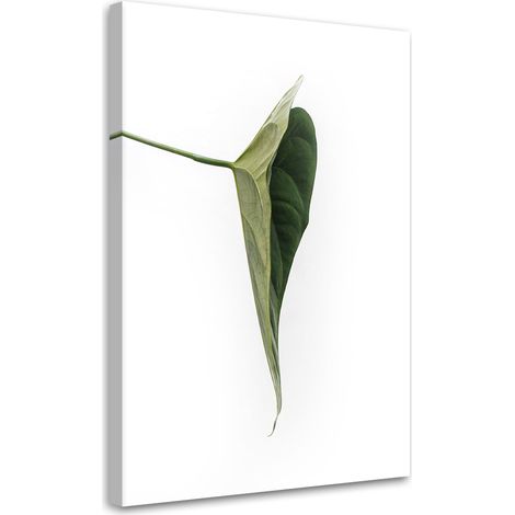 Tableau sur toile Feuille verte nature botanique 70x100 (1/5)