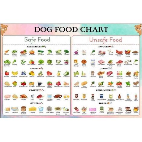 Affiche Alimentation Chien - Guide Sr Et Toxique - Décor Maison Cuisine Salon - 1 Pièce (1/5)