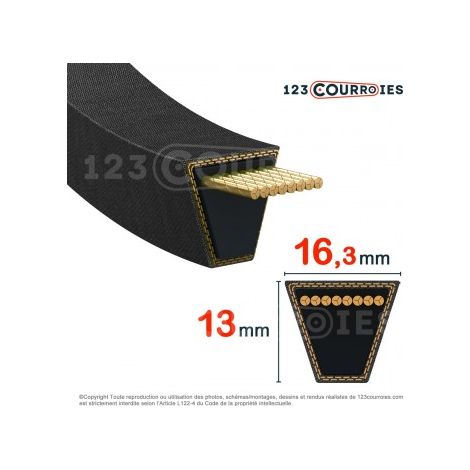 Courroie trapézoidale lisse Contitech Conti V SPB2760 Ld