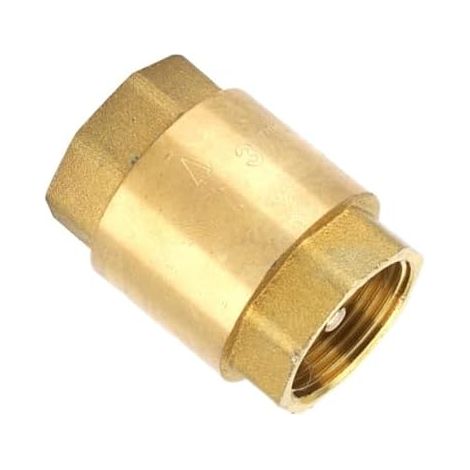 Clapet anti-retour en laiton, unidirectionnel horizontal Valve à ressort à filetage femelle Valve à ressort vertical avec ressort en D (1/5)