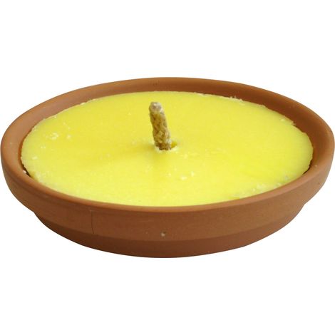 CITRONELLA IN PADELLA DI TERRACOTTA MADE INTALY  Ø cm. 17