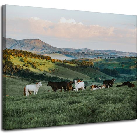 Stampa su tela "Natura: pascolo e mucche" 100x80